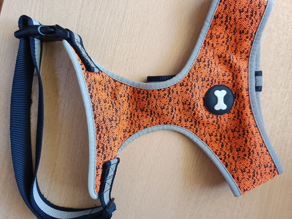 Шлея /шлейках для собак пінчер, чихуа/одяг для песиків малих пор