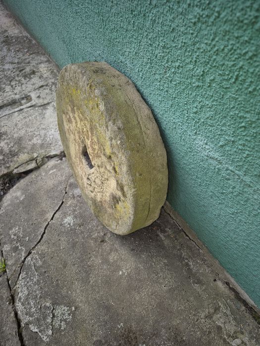 Kamien ozdobny do ogrodu