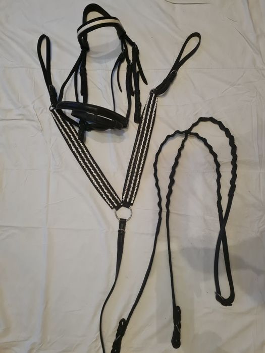 Амуніція для коней