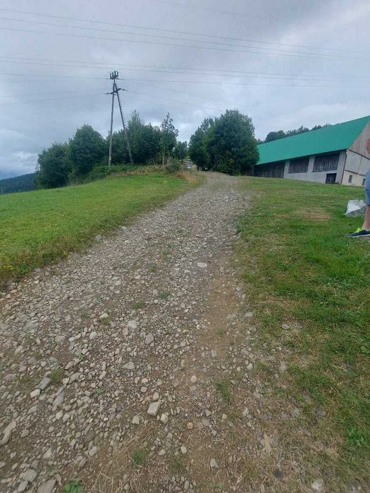 Zdjęcie 4