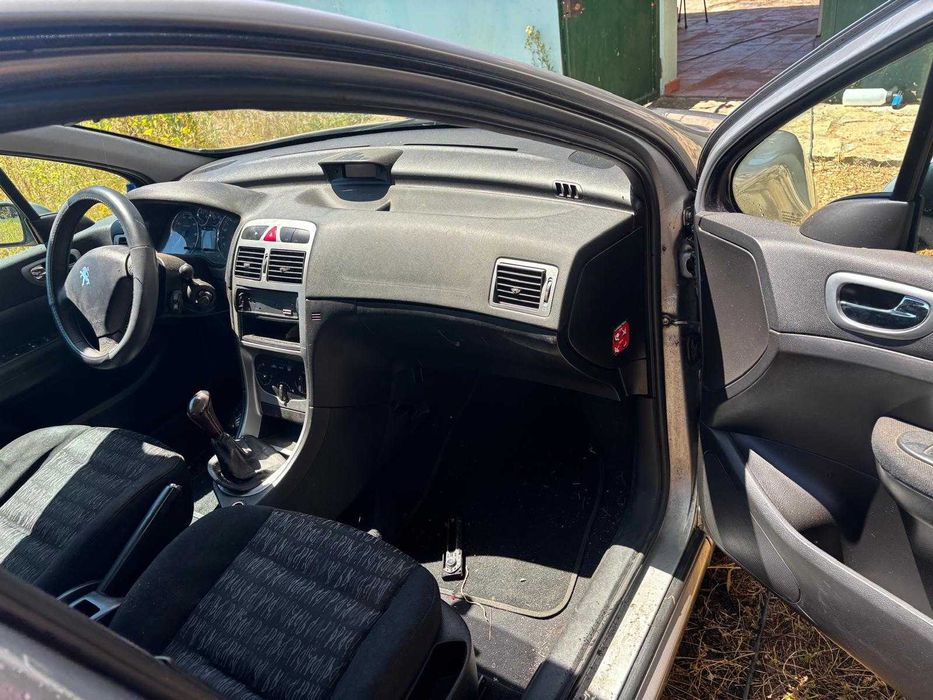 Pegeout 307 gasolina