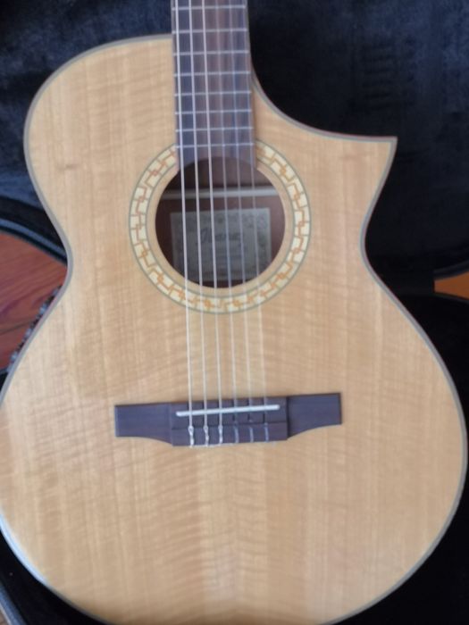 Ibanez Ewn 30 classic