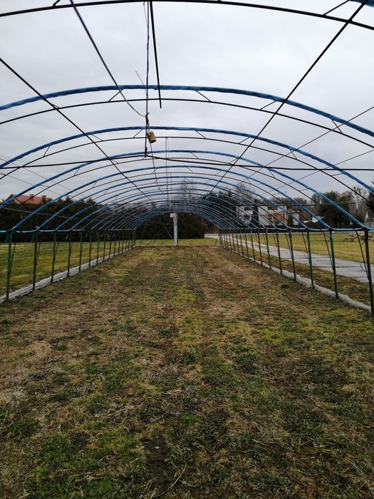 Folia , Tunel foliowy 32x7,5   ,Tunel Ogrodniczy 32 metry OKAZJA