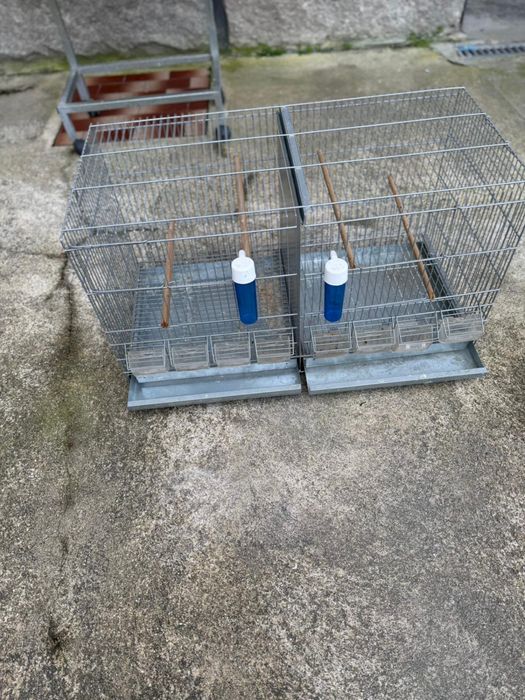 Viveiros Duplos Galvanizados