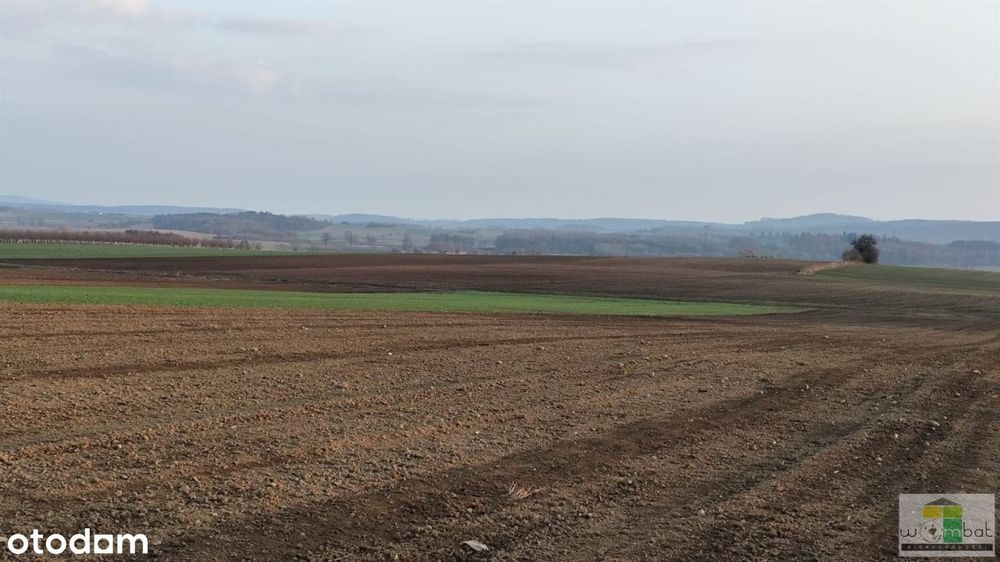 Atrakcyjne działki budowlane w Słupicach
