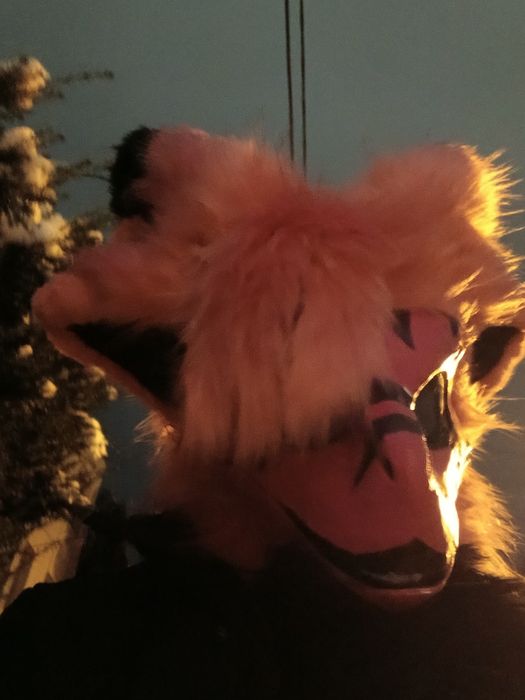 Fursuit head głowa