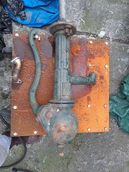 Pompa ambisyjka ozdobna