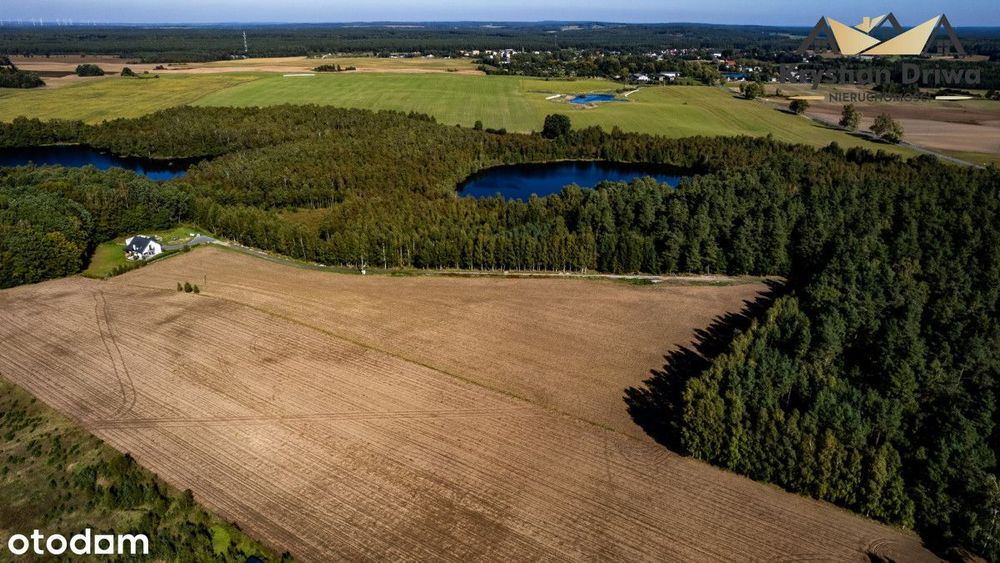 Działki pod siedlisko w gm. Czarna Dąbrówka! - Widok 3