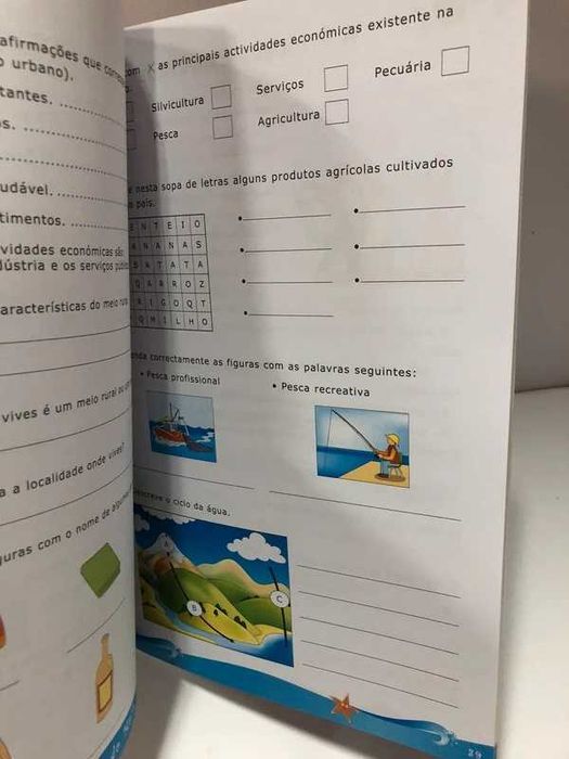 Livro de atividades para Férias - 4º Ano