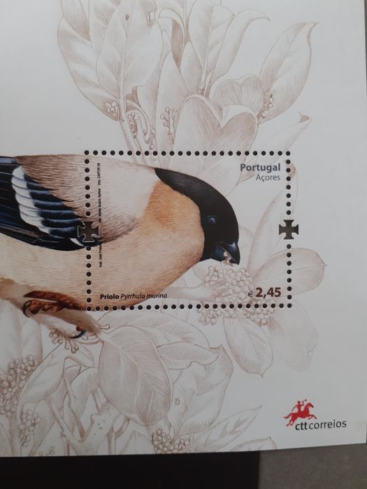 Selos CTT,.priolo 2008