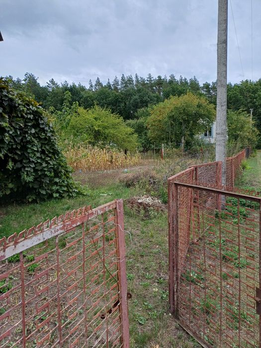 Продам Дачу в Березанке,,Полісянка".Торг.