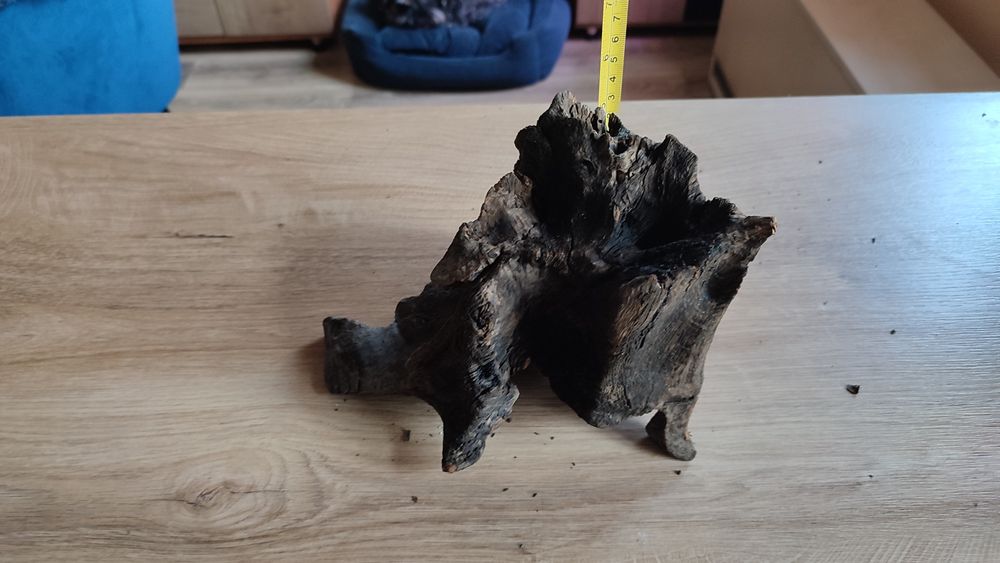 Korzenie do akwarium.