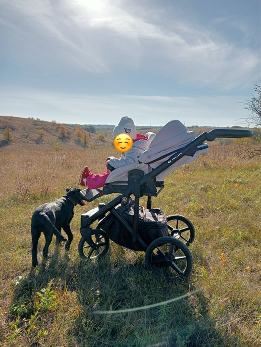 Візочок Adamex Bibion 2 в 1