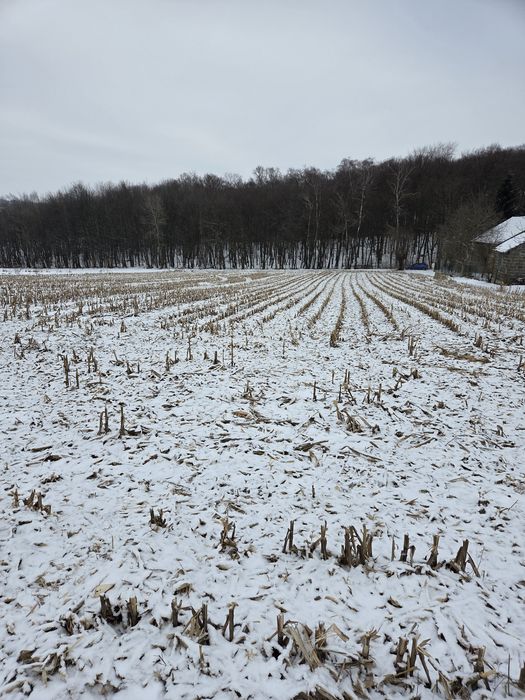 Sprzedam działkę 64,5 ara w Rawalowicach
