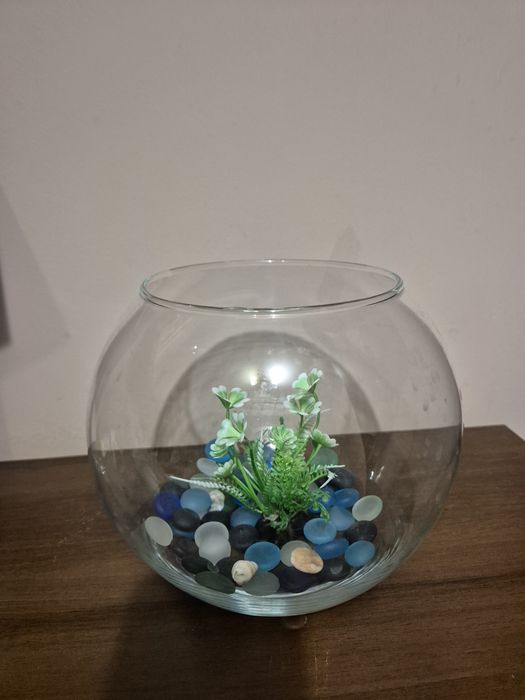Акваріум, скляна ваза