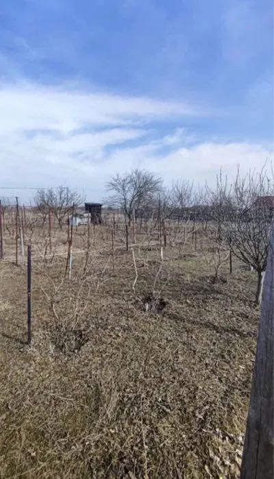 Продам участок 36 сот Подгородне/с. Перемога
