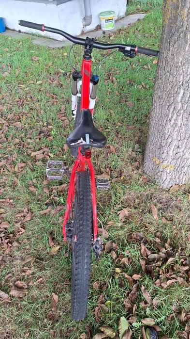 Rower kellys whip10