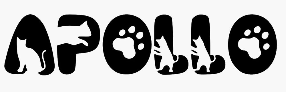 Conjunto de nome completo com letras de gatos