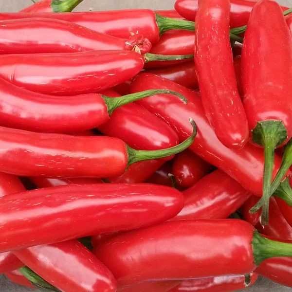 Pimenta Capia, tomates frescos, cenouras