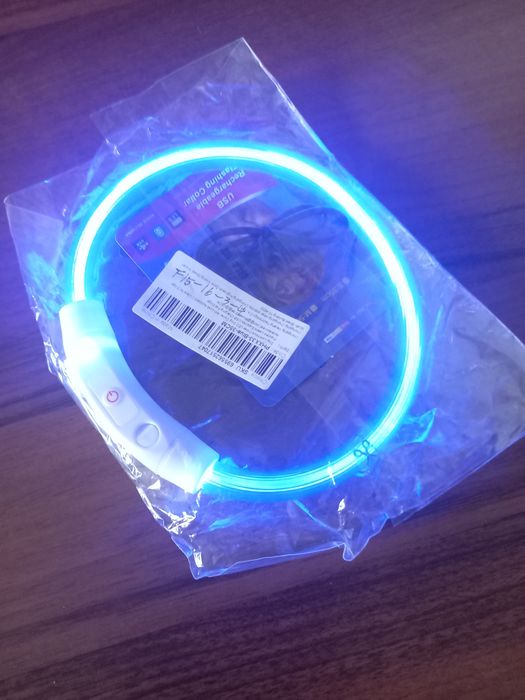 Nowa  obroża świecąca