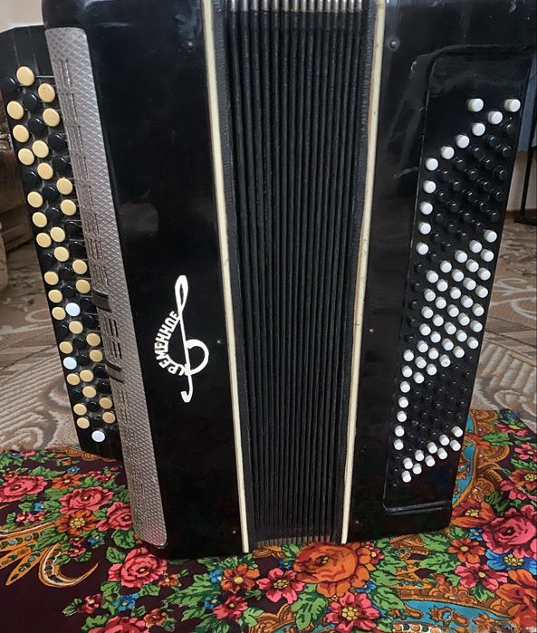 Музичний інструмент. Баян