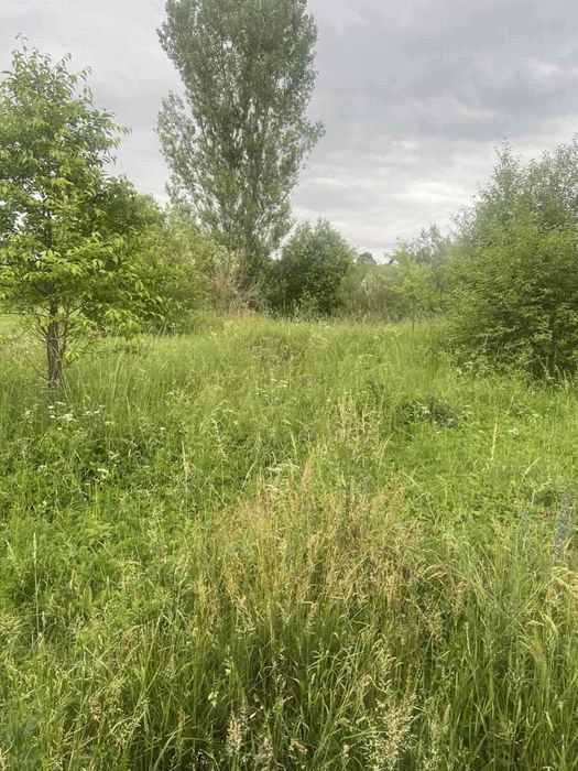 Продам земельну ділянку