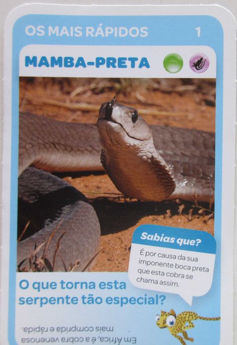 Super Animais 1 - - - Cromos - Cartas Soltas Pingo Doce - - - - Cromos