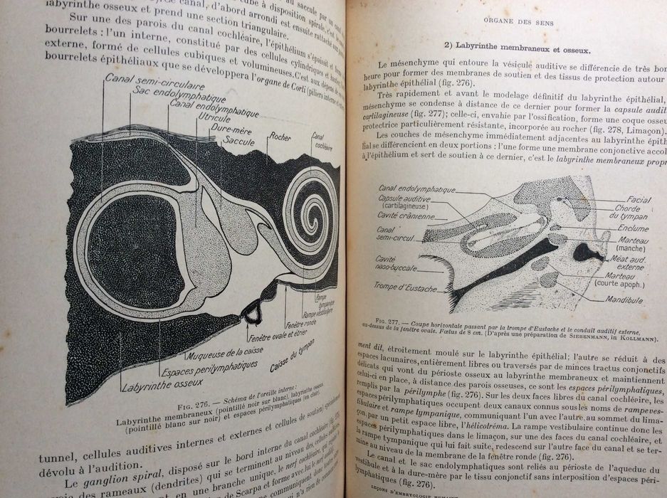 Leçons d'Embryologie Humaine, 1929. Raro