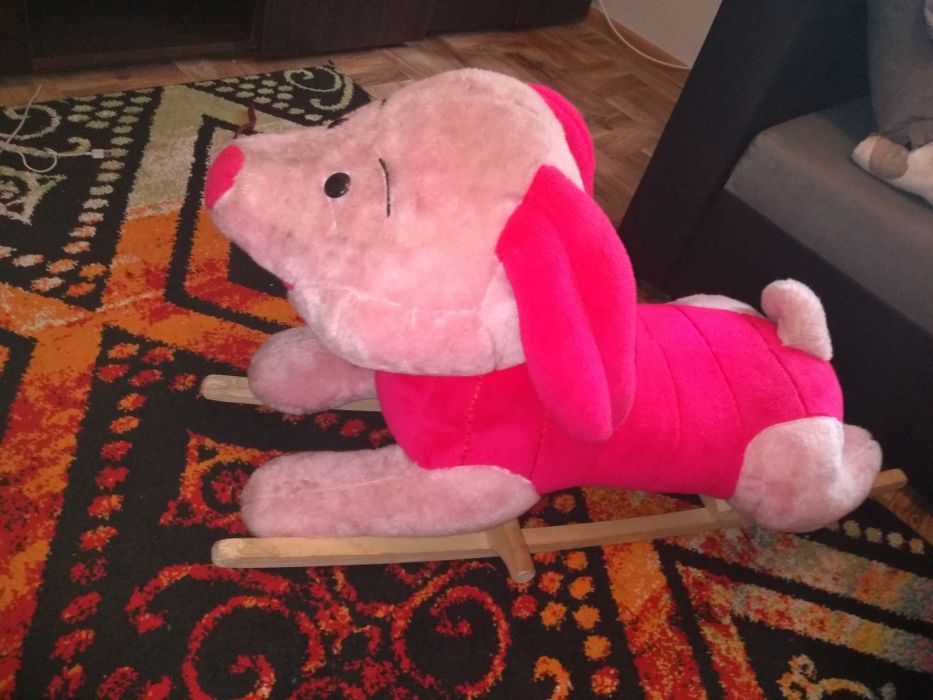 Świnka na biegunach