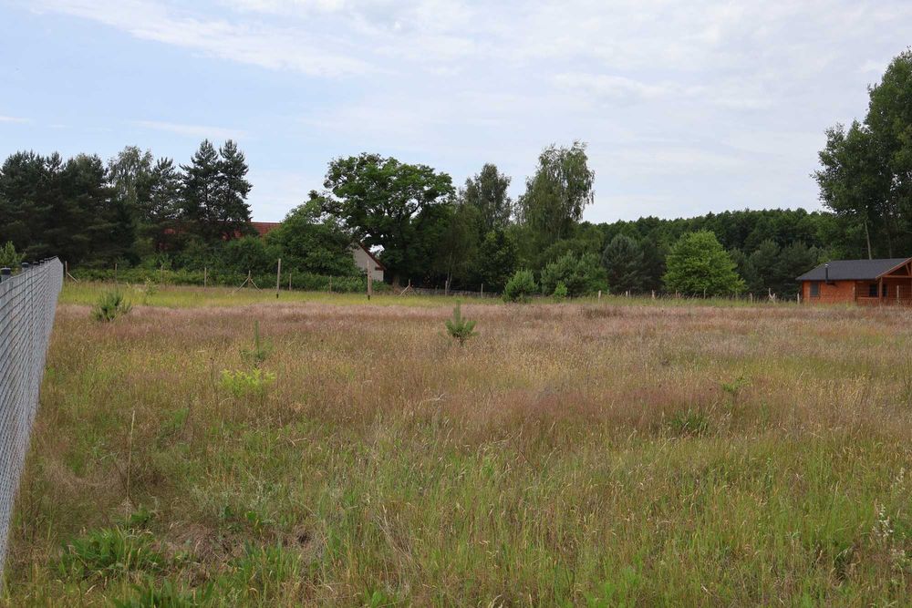 Działka z warunkami zabudowy - leśna osada Pąchy