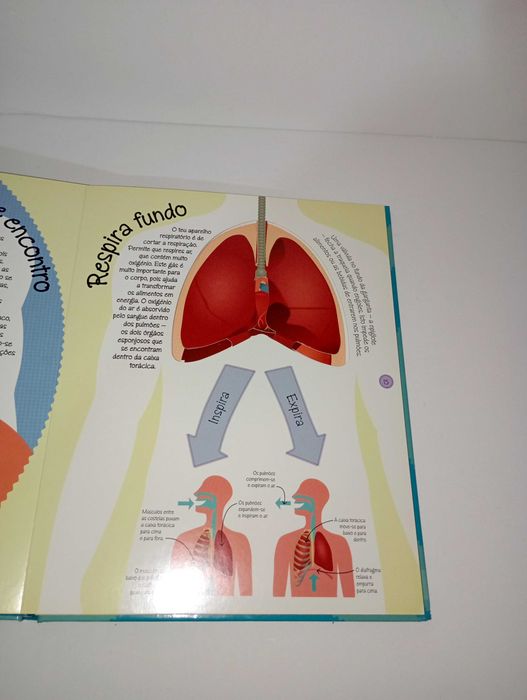 Dentro do Corpo Humano64741109977602123
