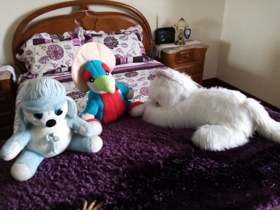 Peluches grandes pequenos