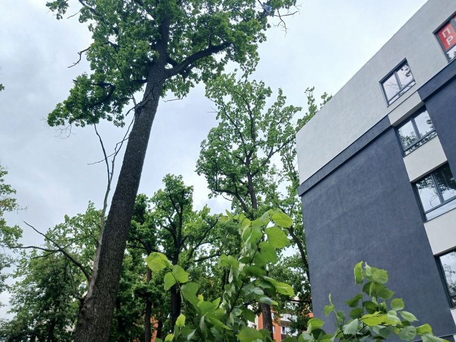 1к с Двориком и возможностью увеличить жилые м2. Локация Школа/Озеро!