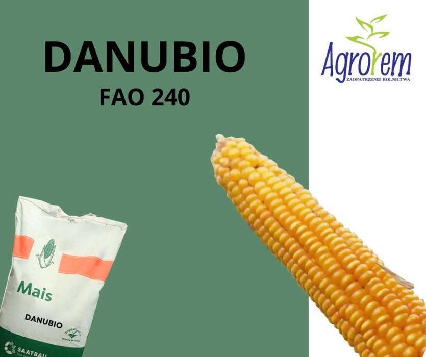 Nasiona kukurydzy DANUBIO FAO 240