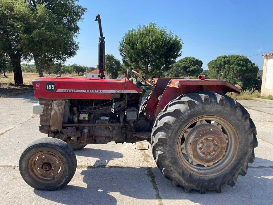 Massey-Fergunson 165