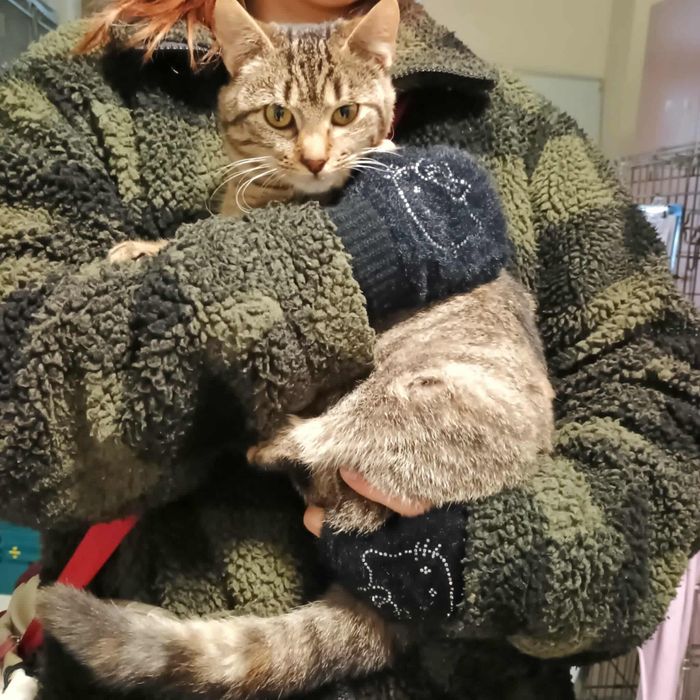 Piekna Szprotka szuka domku