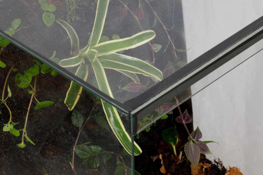 Terrarium 40x40x60 gekon jaszczurka tropikalne