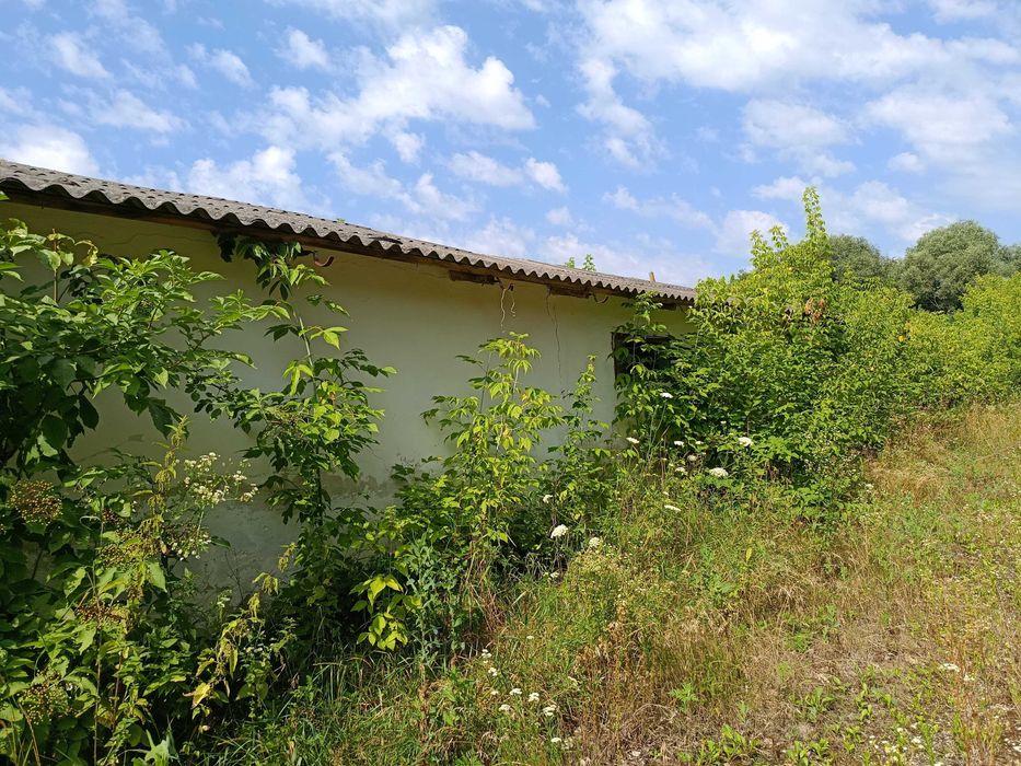 Нежитлові будівлі - с. Припруття, Чернівецька обл.