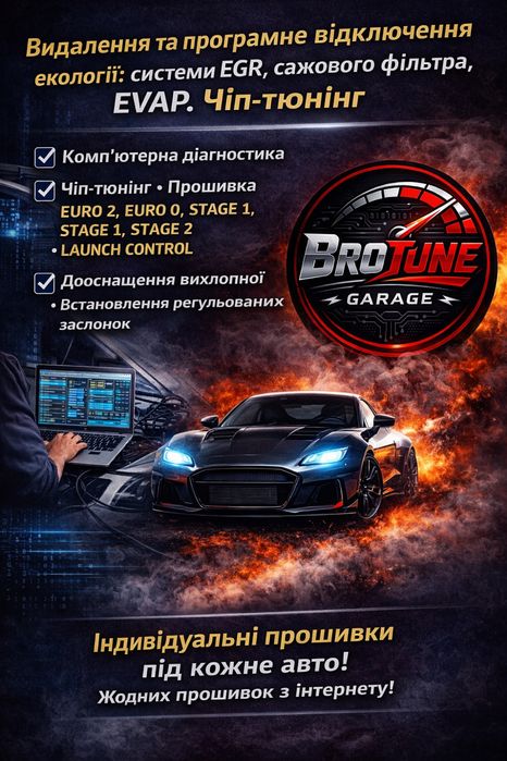 Видалення екології, чіп-тюнінг, комп. діагностика