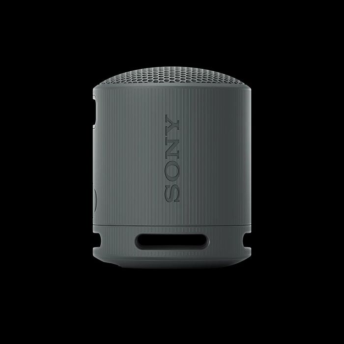 Coluna Sony SRS-XB100