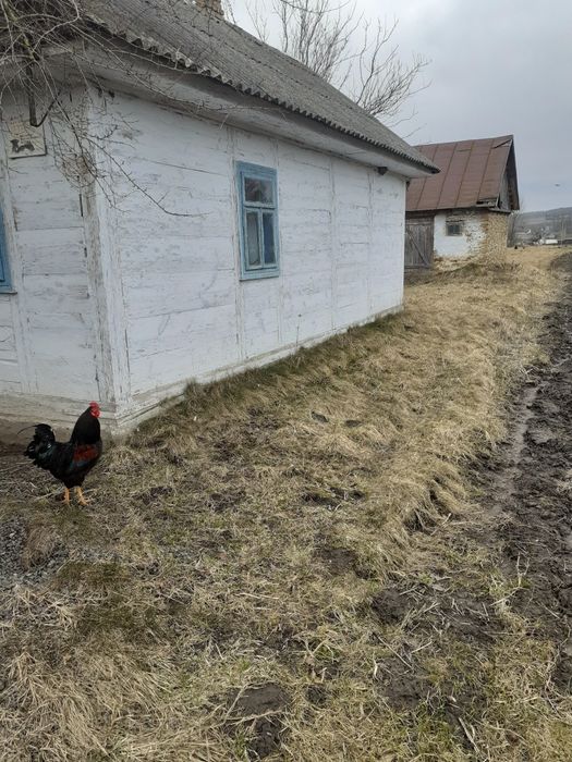 Продається Будинок