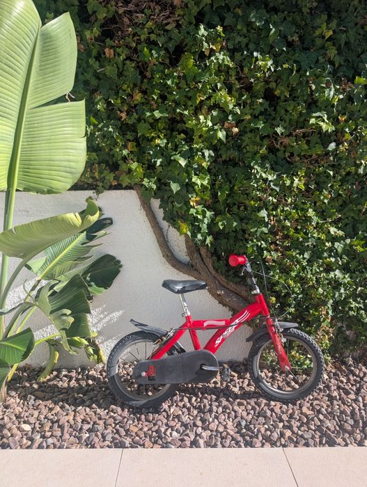 Bicicleta criança