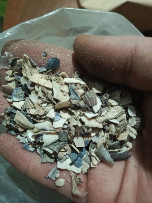 Ракушка кормова(морська) (10 кг )