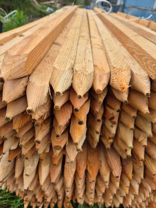 Paliki modrzewiowe 1,7m do pomidorów, drzewek, geodezyjne
