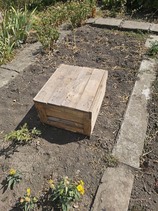 Будка.Насест.Клітка.