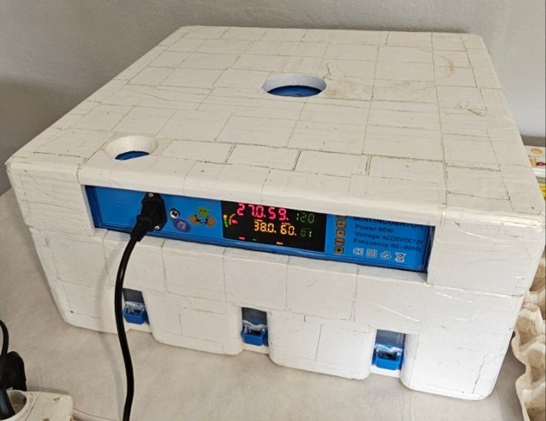 Продам інкубатора