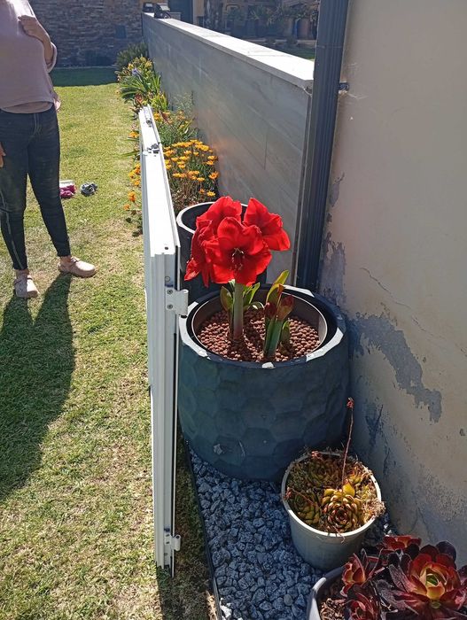 Conjunto de janelas portas e sacadas em alumínio branco com vidros duplos