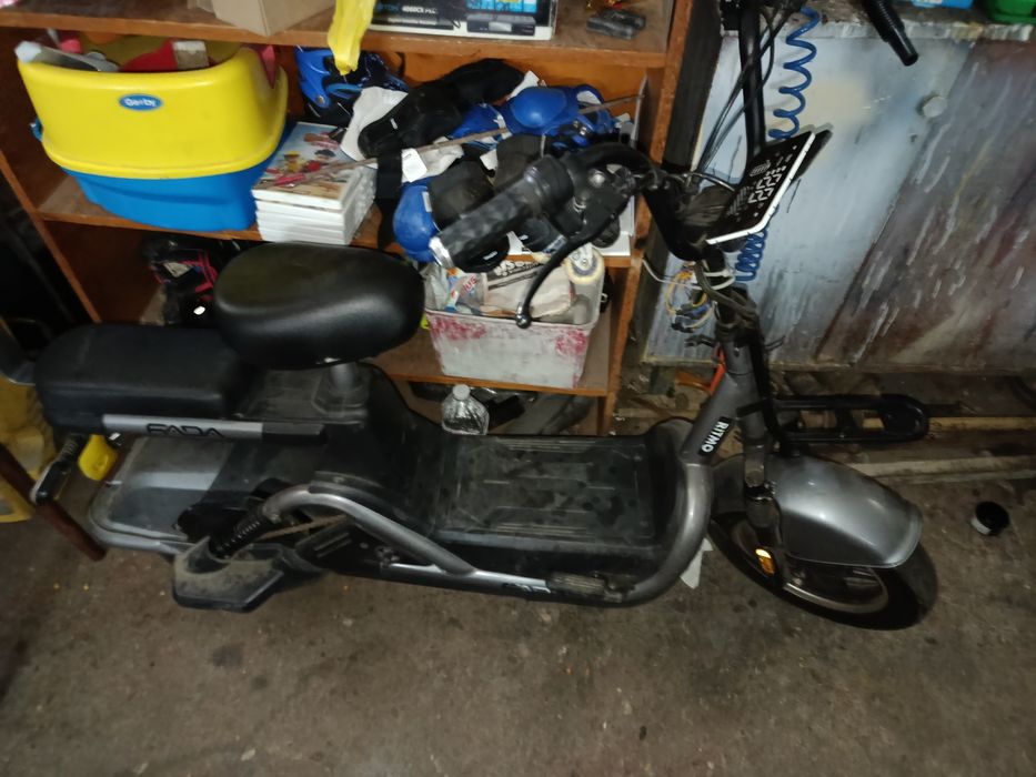 Продам фаду рітмо 2023