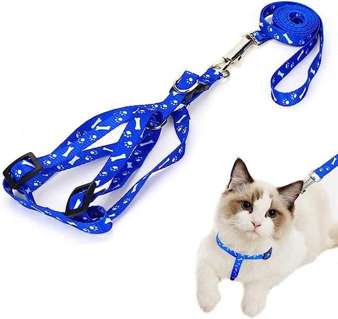 Coleira para Gato ou Cão Verde NOVA