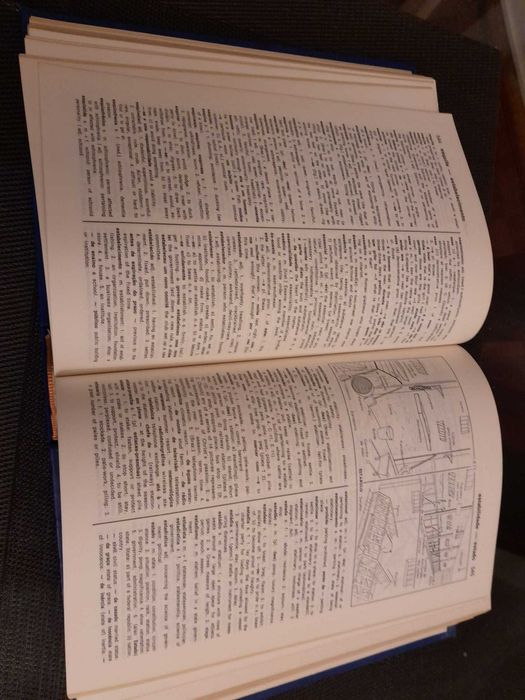 Novo Michaelis Inglês-Português, Português-Inglês Ilustrado